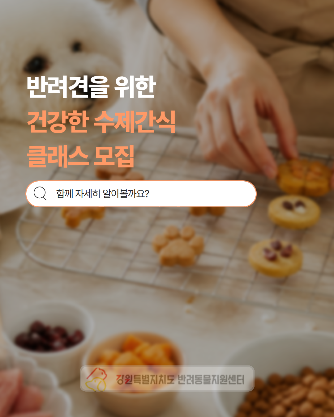 멍냥이 쿠킹 클래스