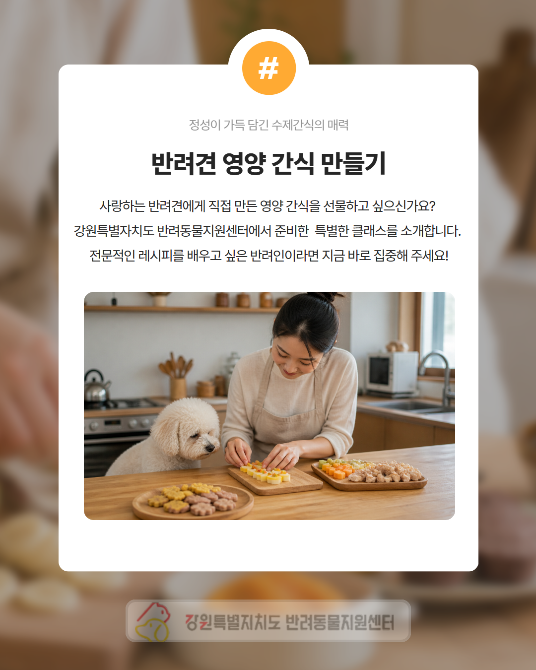 멍냥이 쿠킹 클래스