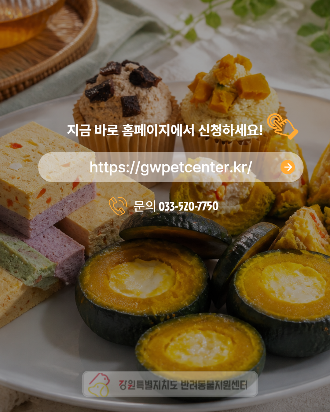 멍냥이 쿠킹 클래스